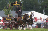 IMG_6180-01.jpg