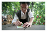 The Wish Tree in Ciqikou, Chongqing