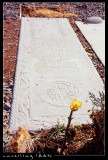 A Dedication at Grave