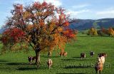 Grund (5763)