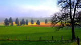 Hochmoor (8290)