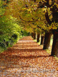 Bad Schoenbrunn (7144)