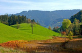 Chnaechtlischwand (0272)
