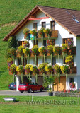 Blumenschmuck (09794)