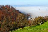 Tobelbruecke (61241)