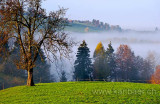 Nebelgrenze (9237)
