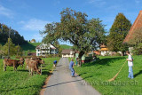 Erntezeit (60092)
