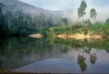 Endau Rompin, Pantai Burong