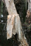 IMG_0399.jpg