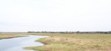 Myakka River