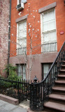 Beatrix Farrand House