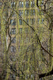 Willow Branch Window Curtains