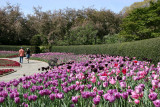 Central Park Conservatory