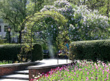 Central Park Conservatory