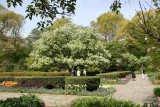 Central Park Conservatory