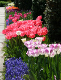 Central Park Conservatory