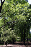 070514 036 0.jpg