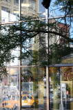 Bank Window Reflections