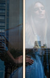 Window Reflections