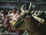 Delhi, India