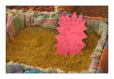 Curry - 0226