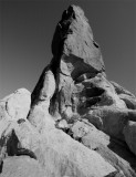 Dark Angel from the bottom black and white.jpg