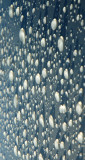 first-drops-picRotated.jpg