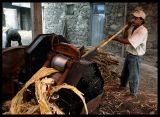 Sugarproduction near Ribeira Grande - Santo Antao