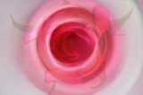 1/23/07 - Bullseye - Montage (overlay #1 & #2)