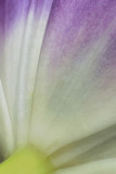 2/11/07