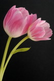 3/13/07