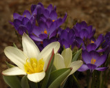 3/15/07