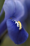 3/26/07
