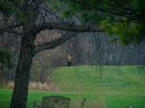 A blur in the distance.jpg(147)