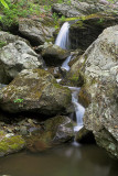 Punch Bowl Falls