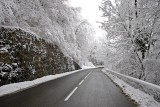 _DSC1006_sRGB.jpg
