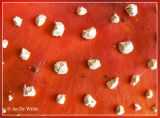 rood met witte stippen