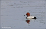P1480557kopie.jpg