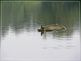 P1090317kopie.jpg