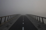 Road and fog_MG_69431-1.jpg
