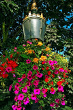 Hanging basket, York