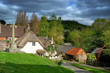 Cottage corner, Lustleigh (2778)