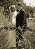 The reeds