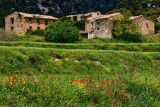 Ruined farmhouse
