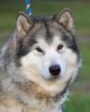 IMG_3887-01a.jpg