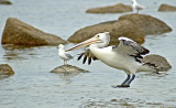 On final approach