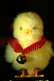 cheap cheep!