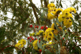 bright and cheerful