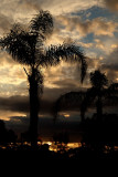 after the rain
