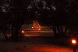 light my way
